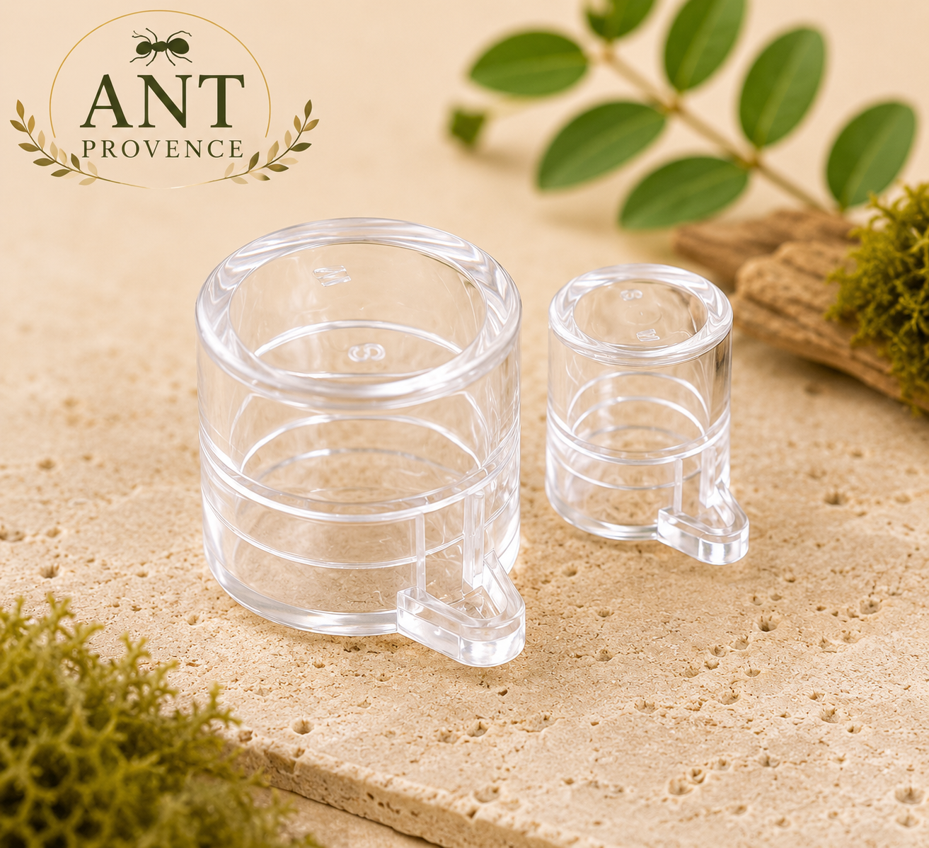 Abreuvoir Premium pour Fourmis – Réserve d'Eau 5 à 40 ml